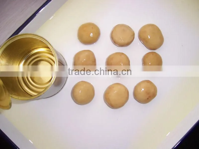 Canned Mushrooms Pieces&Stems