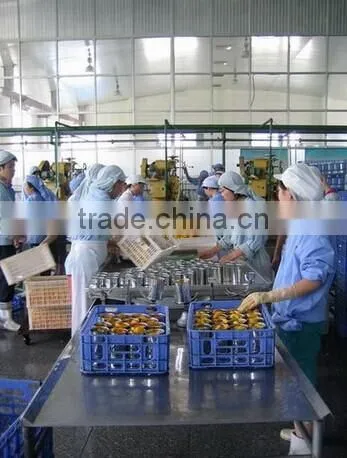 Canned apricots 850ml 2650ml FDA
