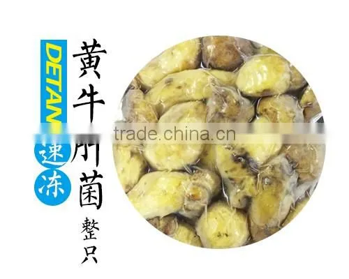 Wholesale IQF Frozen Boletus Edulis Cultivate