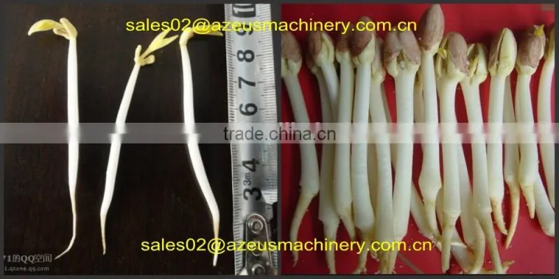 Automatic hydroponic barley grass fodder planting Machine for animal,livestock,cattle,sheep