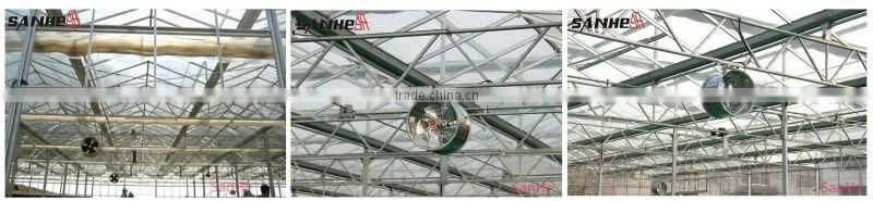 air circulation fan / exhaust fan /ventilation fan/greenhouse fan /cooling fan