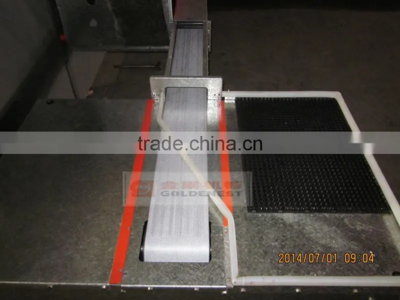 new design automatic egg collecting system