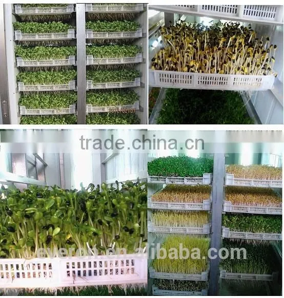 2015 New Hydroponic Fodder Machine for Farm Feeding
