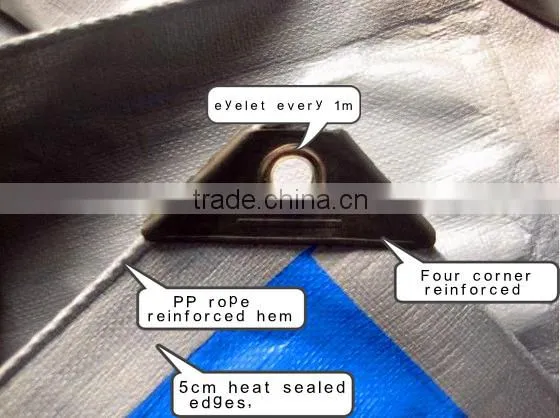 Polyethylene plastic raw material