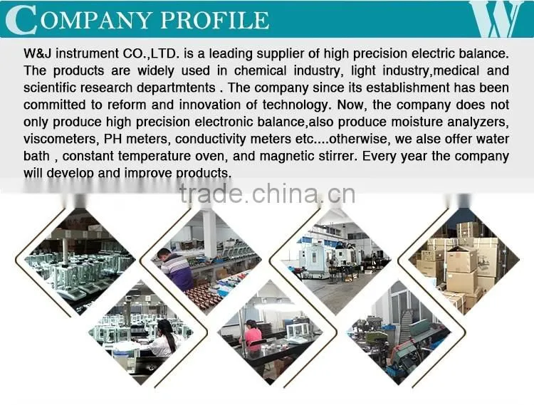 Analytical Laboratory truck weighing scale