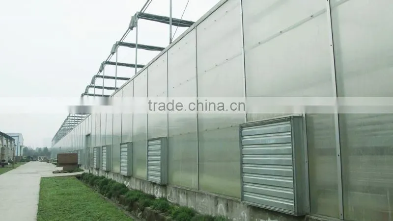 Agricultural Aluminum Frame Tent Greenhouse