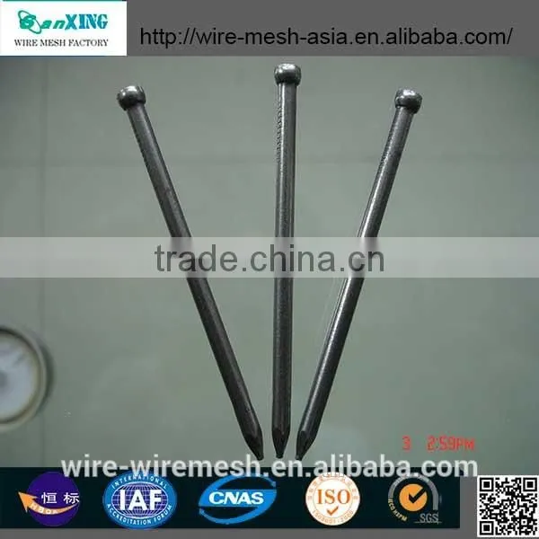 Common Nail price of Iron Nail Factory