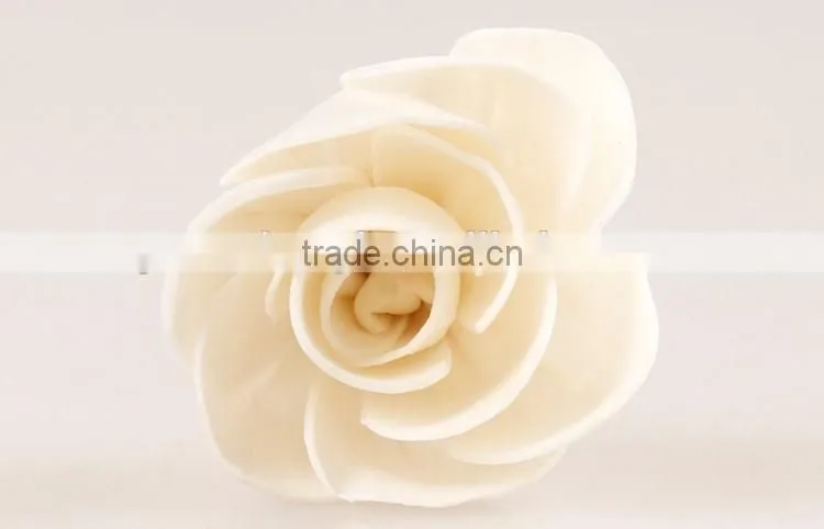 sola flower