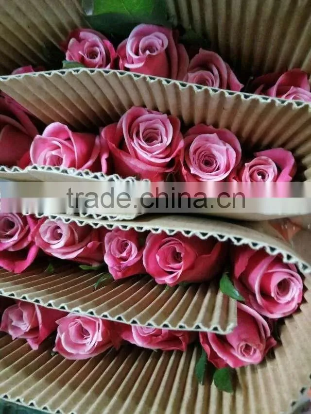 Export Fresh Cut Rose Flower Best Selling Fresh Rose Banquets For Wedding Decoration