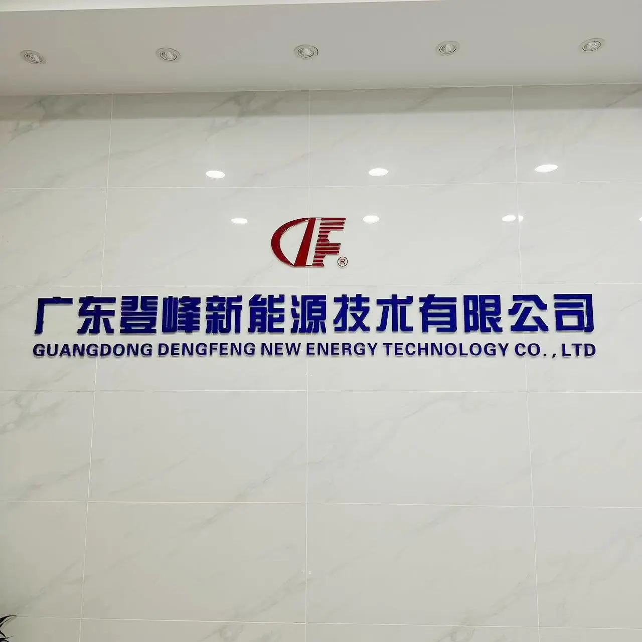 Guangdong Dengfeng New Energy Technology Co., Ltd. company overview - view 1