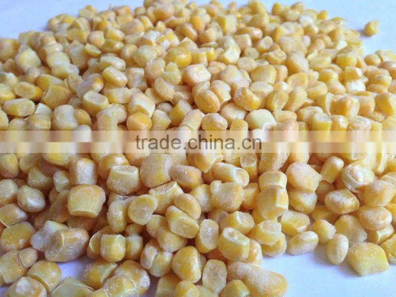 IQF Frozen sweet corn kernel Jinfei Cuiwang huazhen variety