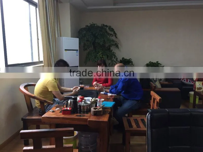 2015 PP plastic car neon sign with CE