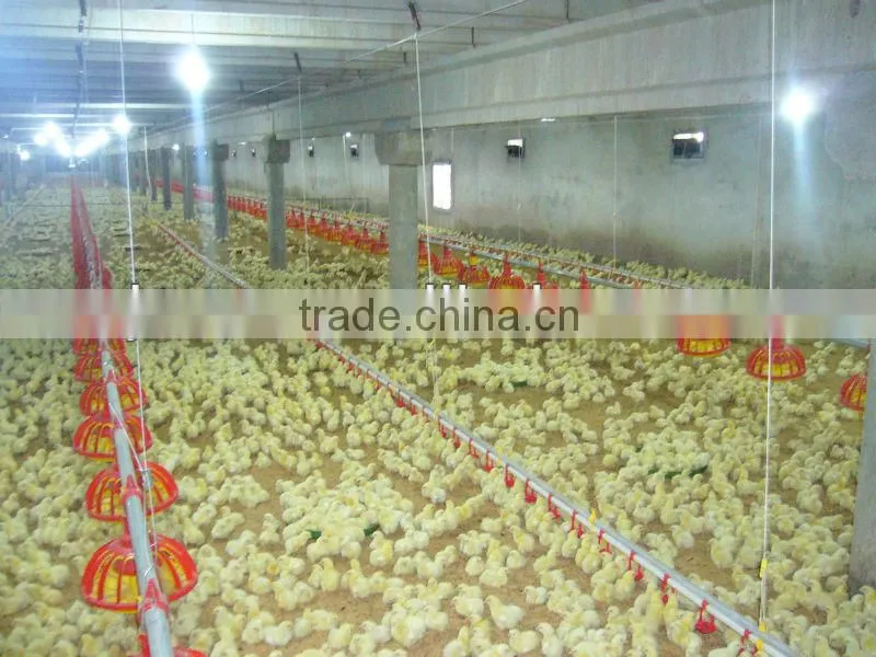 best sold high quality and inexpensive mechanized poultry feeding equipment