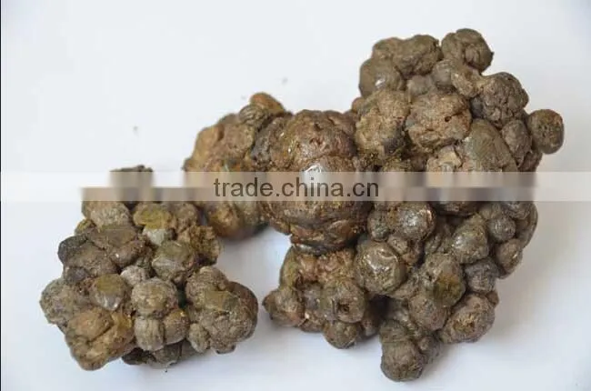 98% propolis powder
