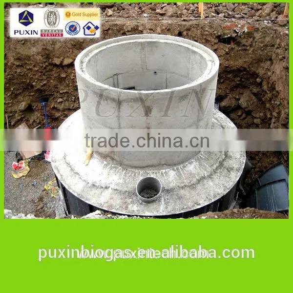 PUXIN biogas electricity plants with gas generator for food waste treatment