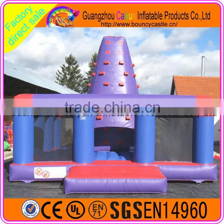 China supply commercial rock climbing wall