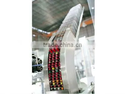 JDZ-100 Automatic Cartoning Machine