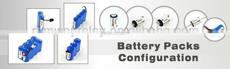 ER34615M battery,D size battery,D size spiral 3.6v lithium battery from Ramway