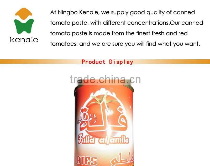 Tomato paste with tin packing in 140gX25tins