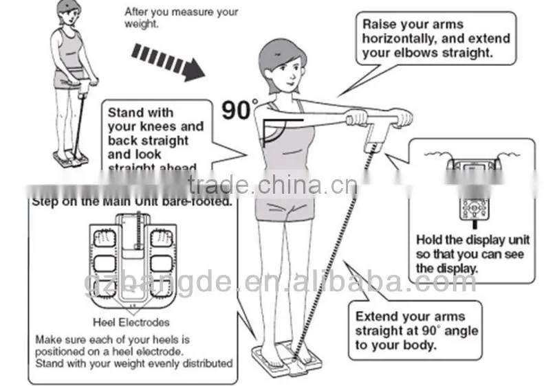 Hot sale!!! human body composition analysis machine beauty machine BD-C001