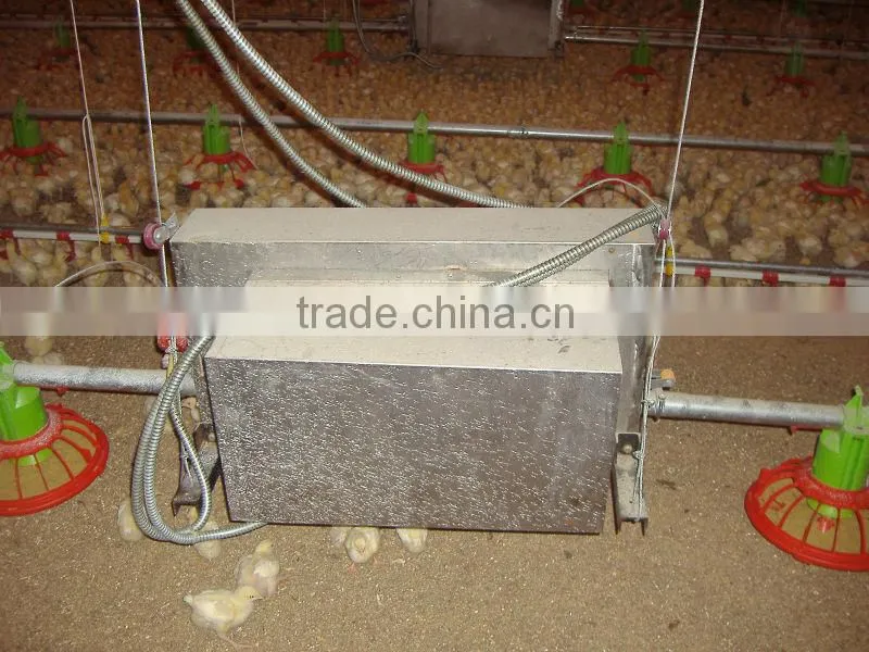 Chicken feed grill