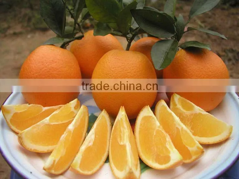 chinese new seasonal orange