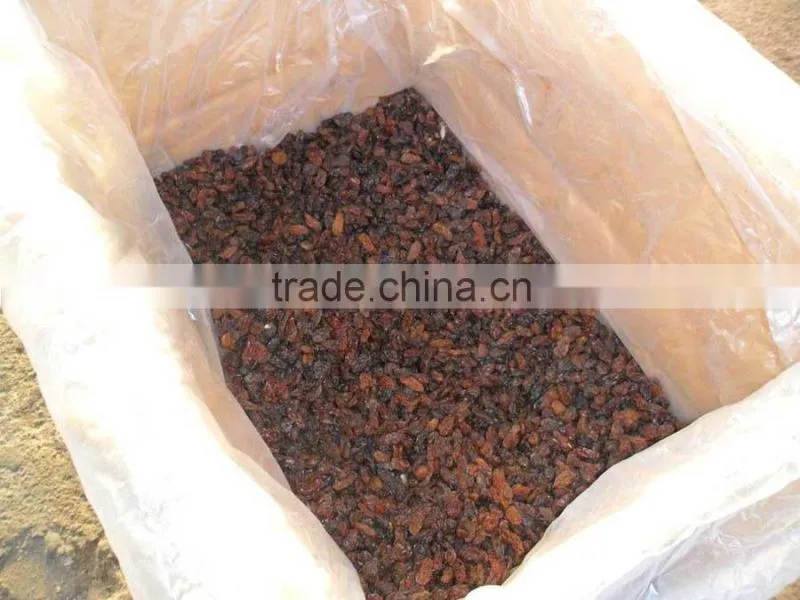 BEST RATE QUALITY INDUSTRIAL RAISIN FOR BEST RATE