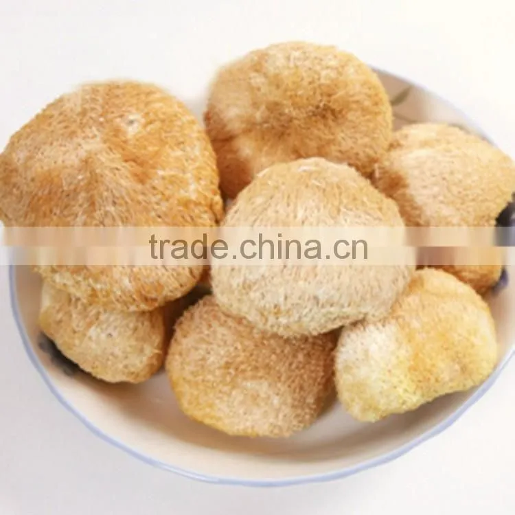 Dried Hericium Erinaceus Mushroom, Monkey Head Mushroom
