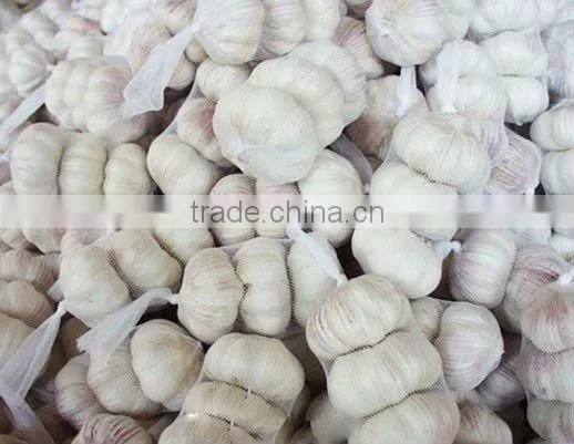 2015 new crop garlic