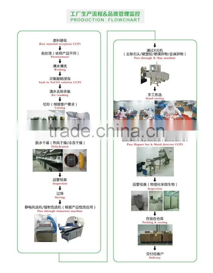 Dehydrated Shiitake Mushroom Cap Supplier