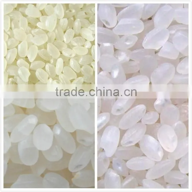 China new products rice dryer CE approved