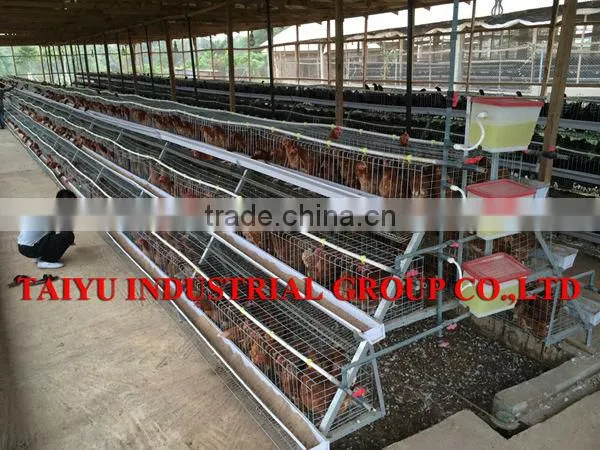 TAIYU Foreign Agent and Warehouse Broiler Poultry Equipment