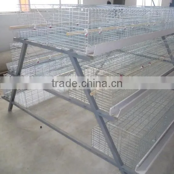 galvanized wire chicken cages for chicken coop