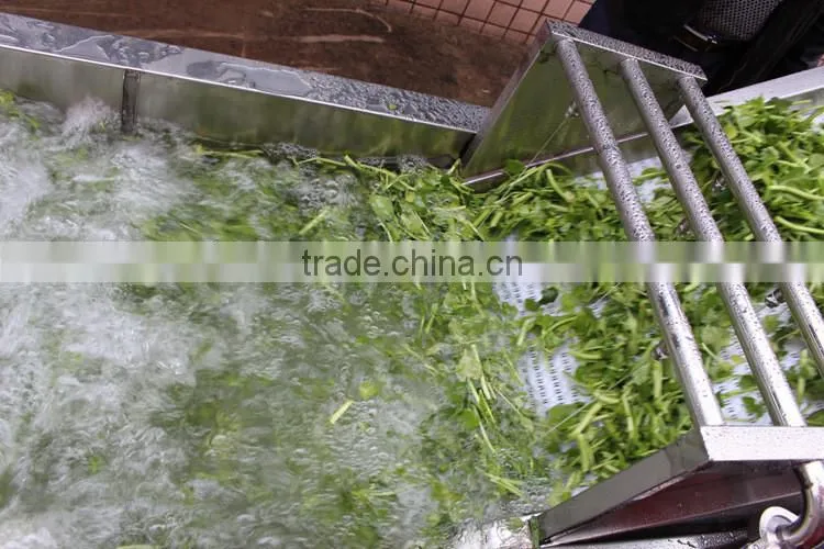 Automatic vegetable washing machine,fruit washing equipment