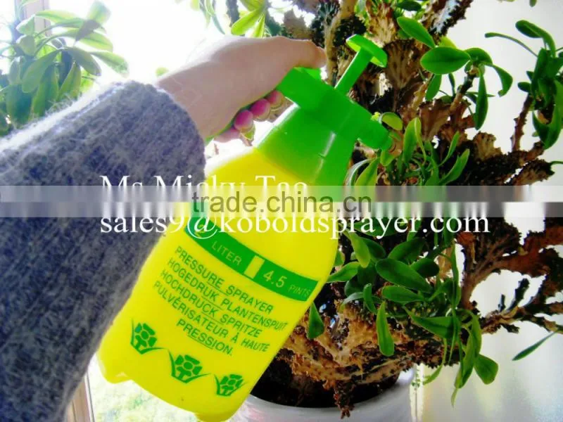 2L Garden Watering Pressure Sprayer
