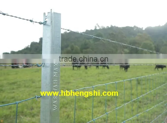 Hot dipped galvanized grassland post Professional Supplier