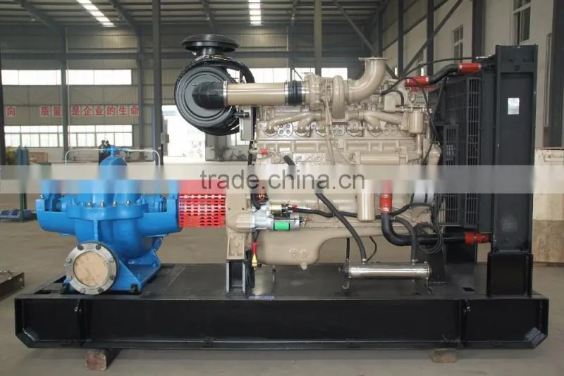 DEFU Brand Drinking Water Hand Pump With Diesel Engine