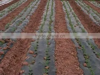 PE plastic covering film for greenhouse/mulch/construction