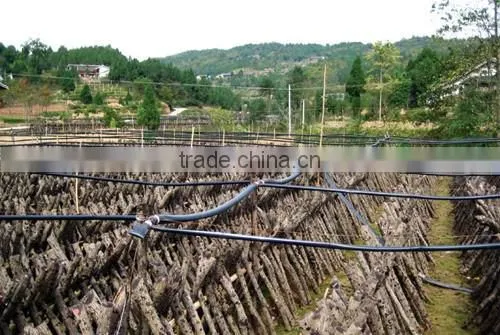 Farmland Irrigation Sprinkler PE Sprinkler Hose