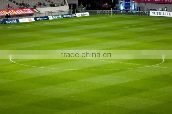 Hengxiang Resistant Durable Environmental And Healthy Artificial Grass For Preschool