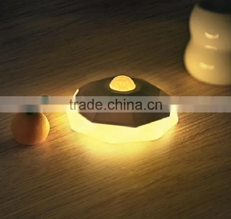 induction LED night light