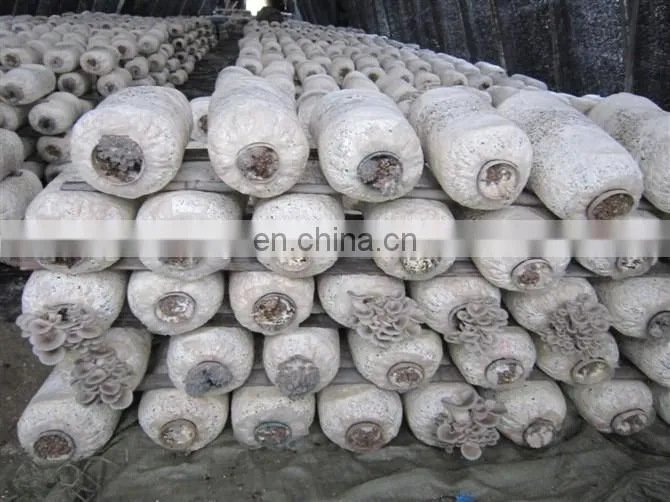 Mushroom cultivate bag filling machine price