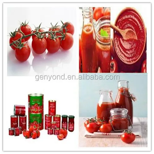 Tomato Paste Factory Machinery Ketchup Processing Production Line Plant Equipment