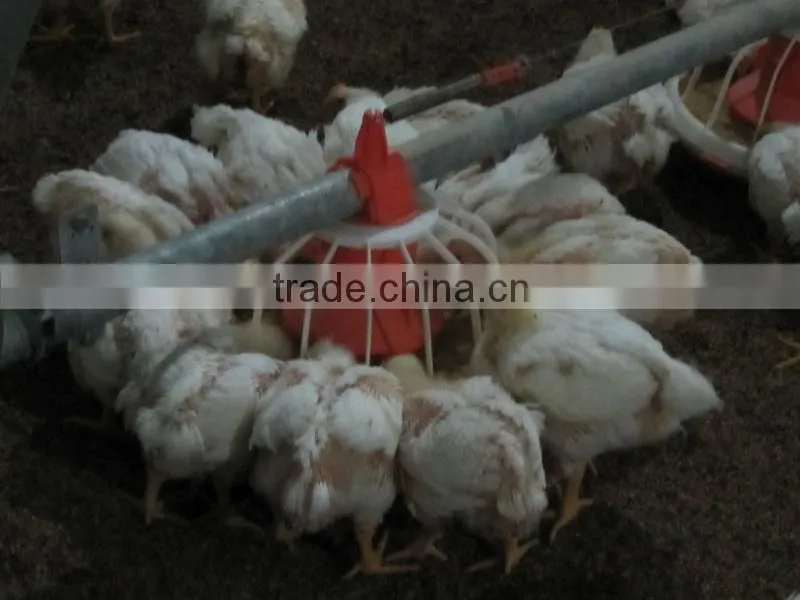 2013 new hot China poultry feeders and drinkers