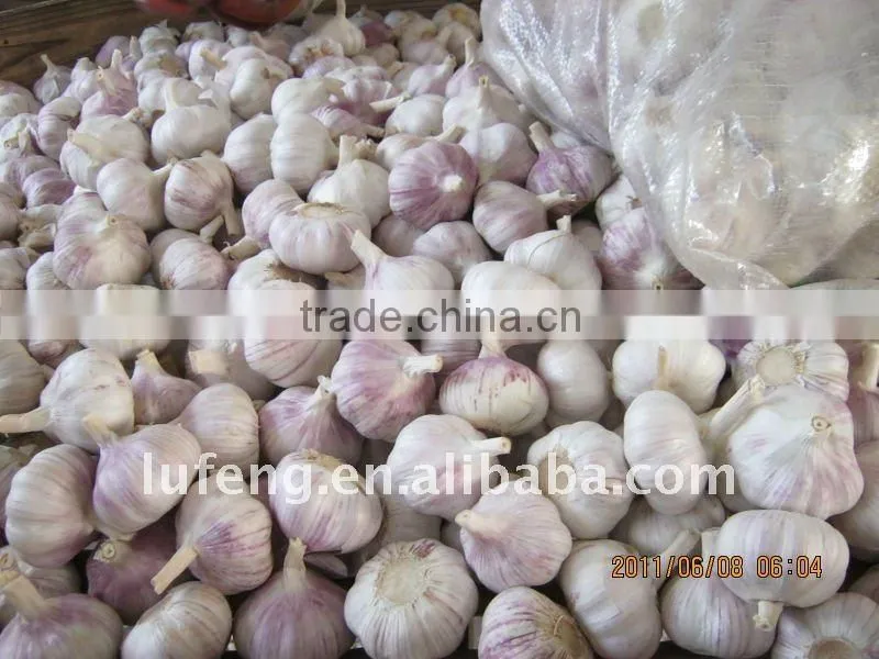 New Crop Normal White Garlic ---Garlic factory /High Quality