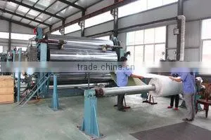 Shandong Dehaiyouli Belt Co., Ltd. company overview - view 1