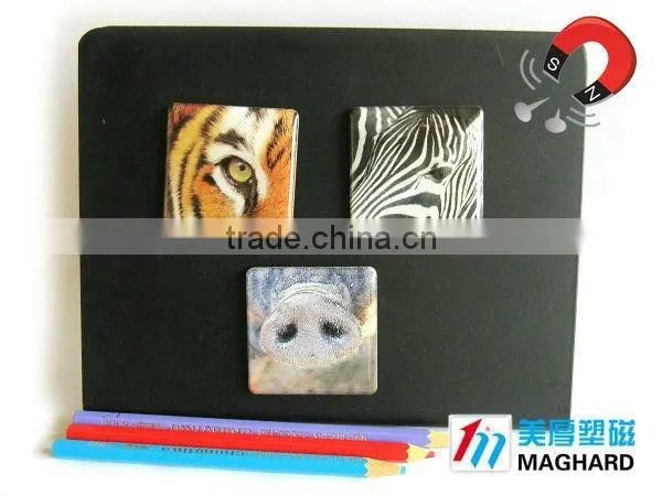 animal protection tiger paws Magnetic Epoxy Gift promotional item personalized fridge magnet