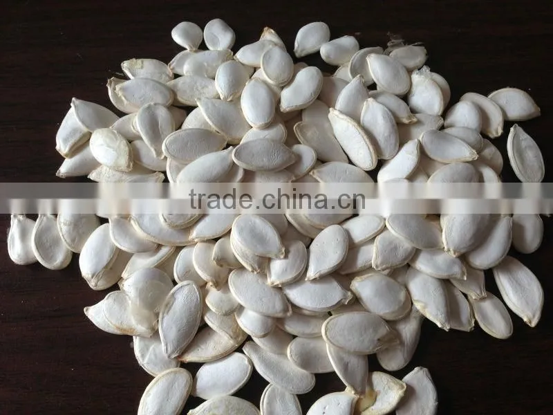 2016 New Crop Top Pumpkin Seed