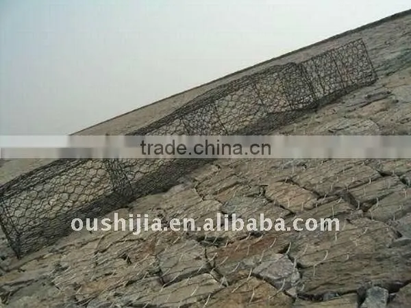 Hexagonal Wire Mesh Electro Galvanized before Weaven