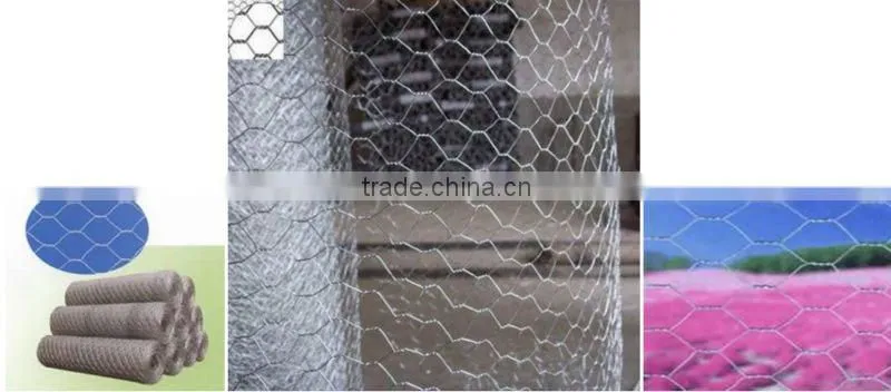 high strength and long life galvanized and pvc coated hexagonal wire mesh (factory)